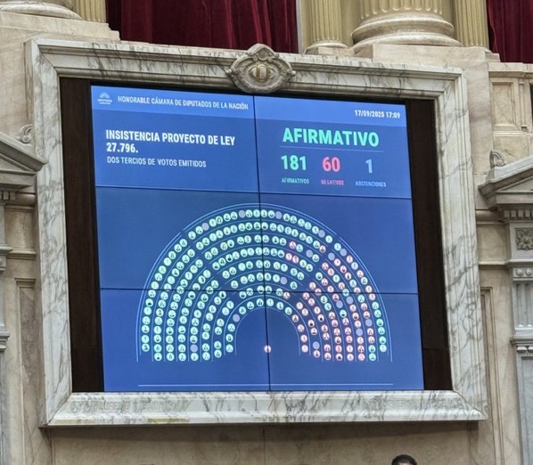 Diputados rechazó el veto de Milei a la Ley de Emergencia en Pediatría
