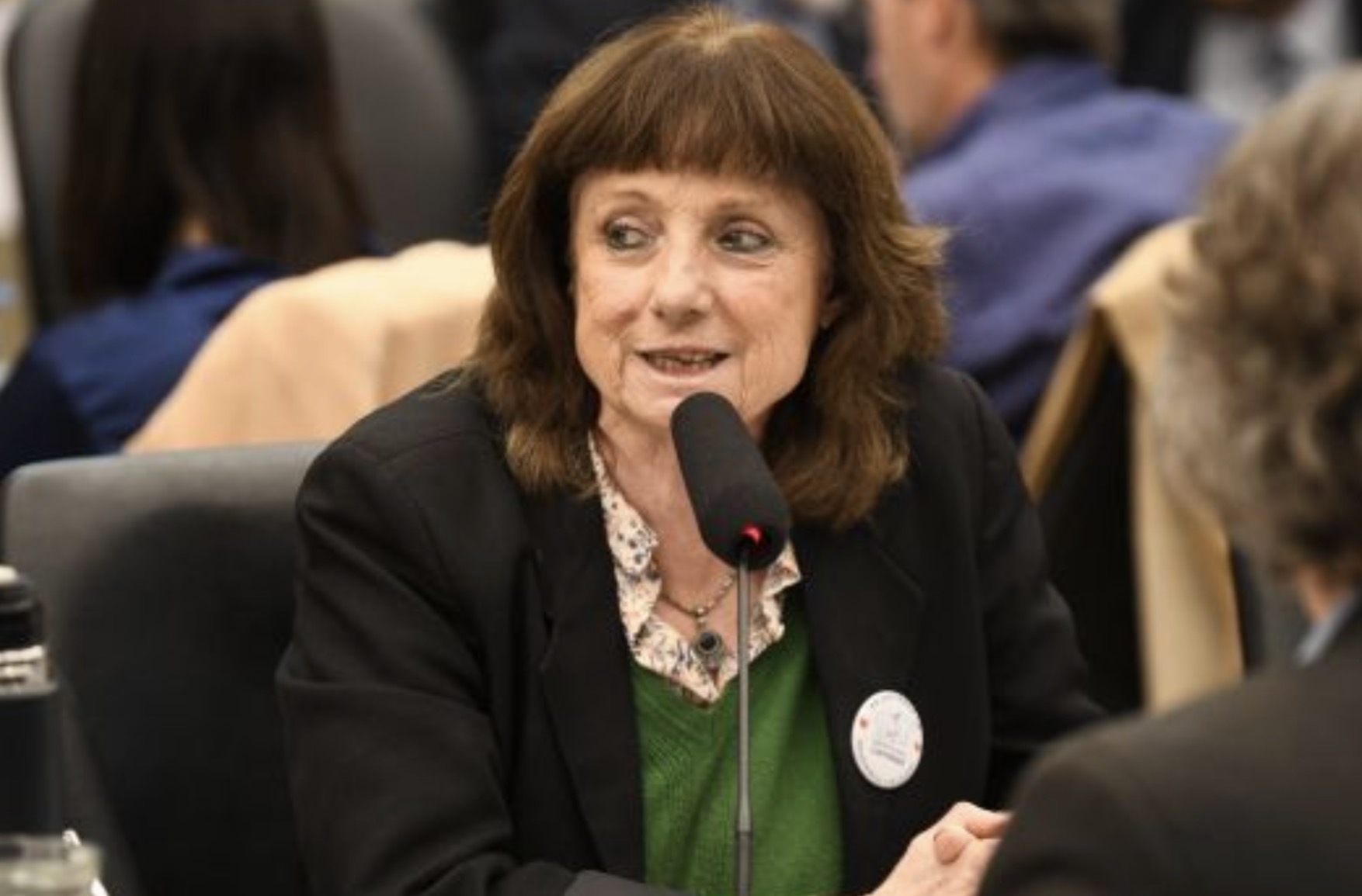 Diputada lanzó un duro exabrupto contra Milei