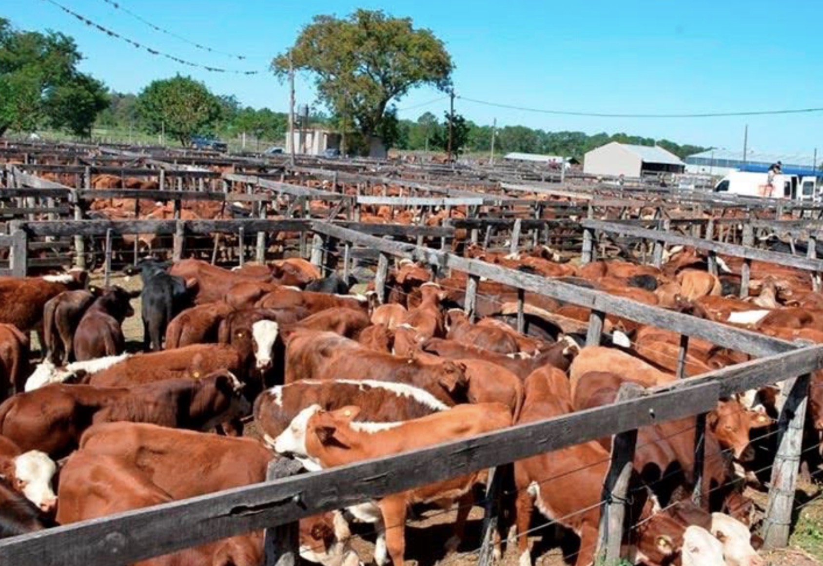 La hacienda volvió a subir en marzo