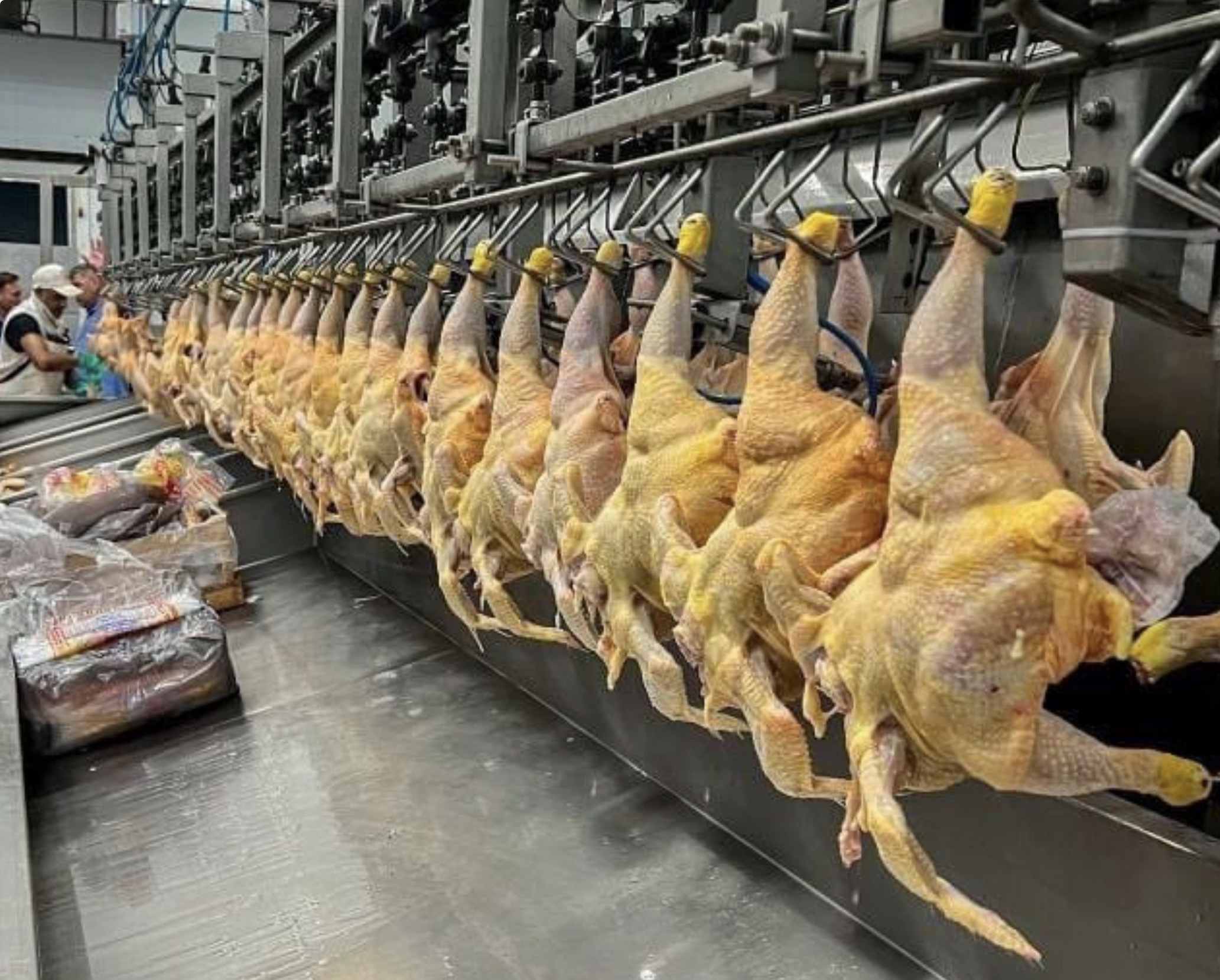 Bajan a cero retenciones  para carnes bovinas y avícolas