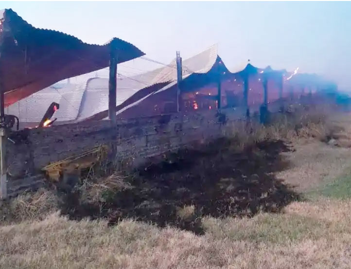 Devastador incendio en zona rural de Villaguay: murieron 500 cerdos