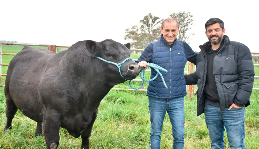 Apuesta a la excelencia genética bovina 