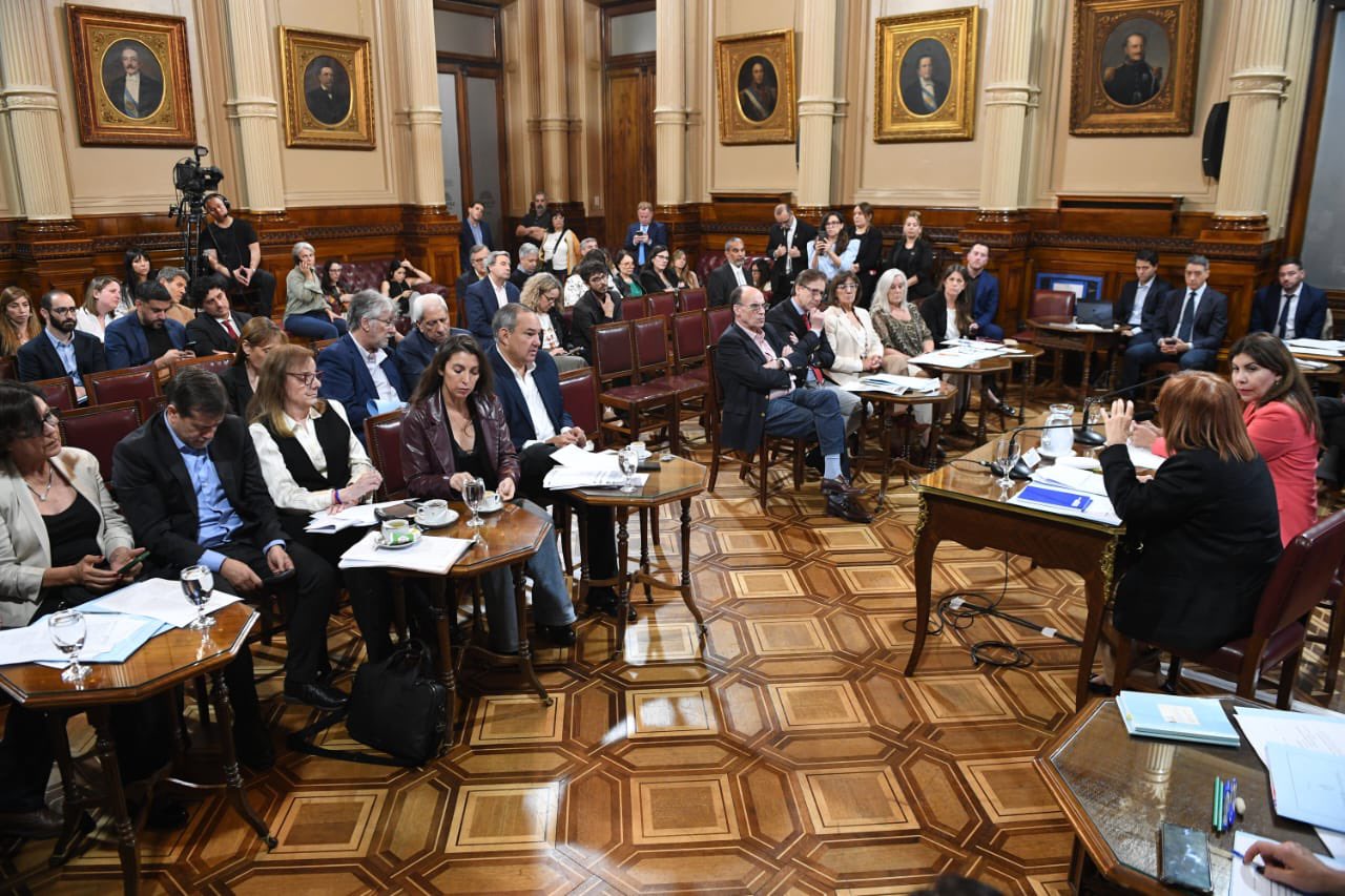 El Senado dictaminó insistir con la reforma de los DNU