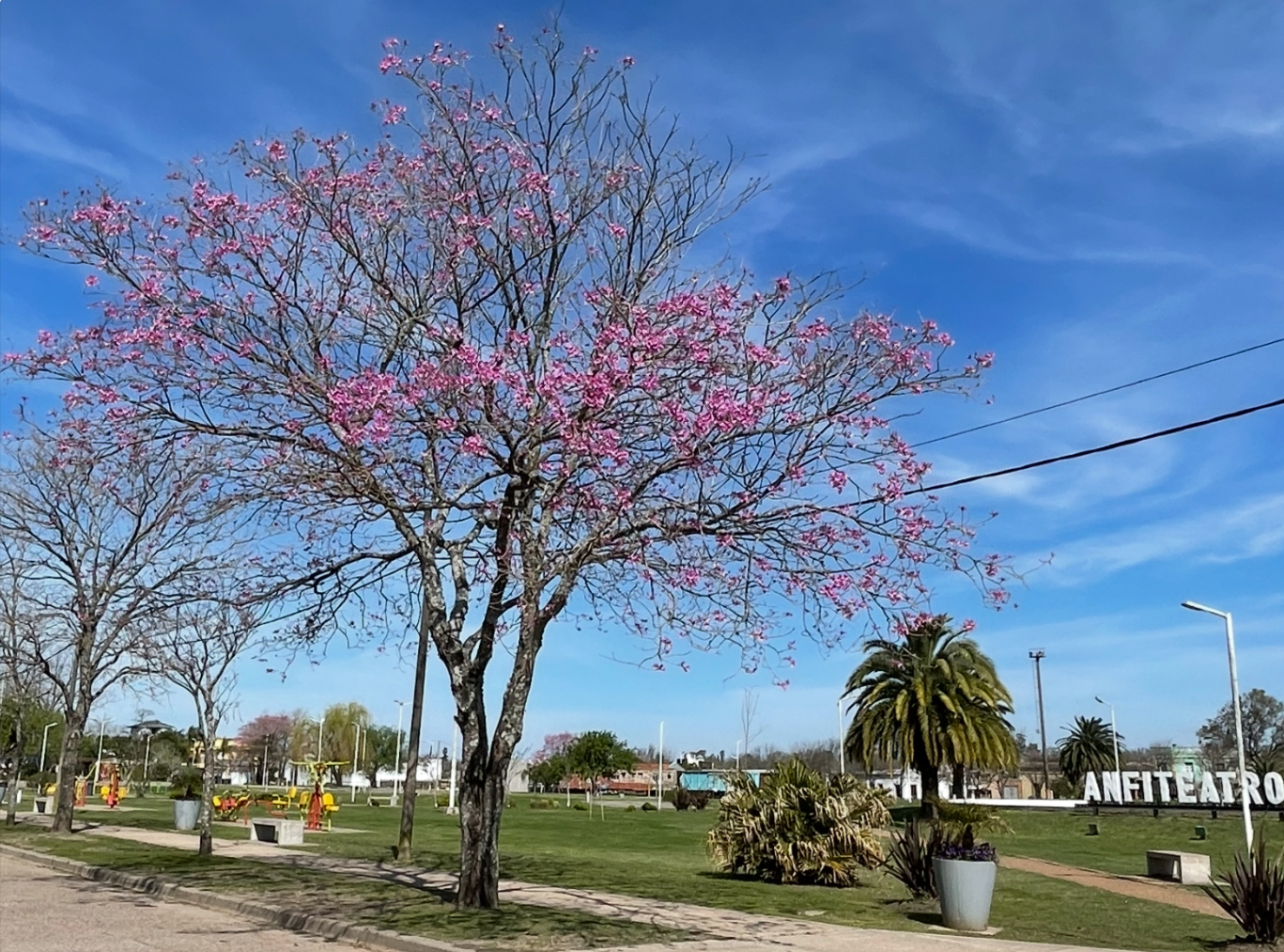 Comenzó la primavera en Argentina