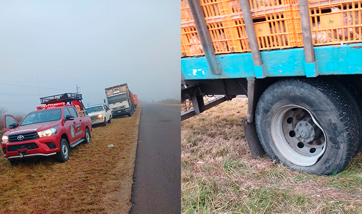 Camión cargado con pollos chocó contra el guardarraíl en Ruta 39