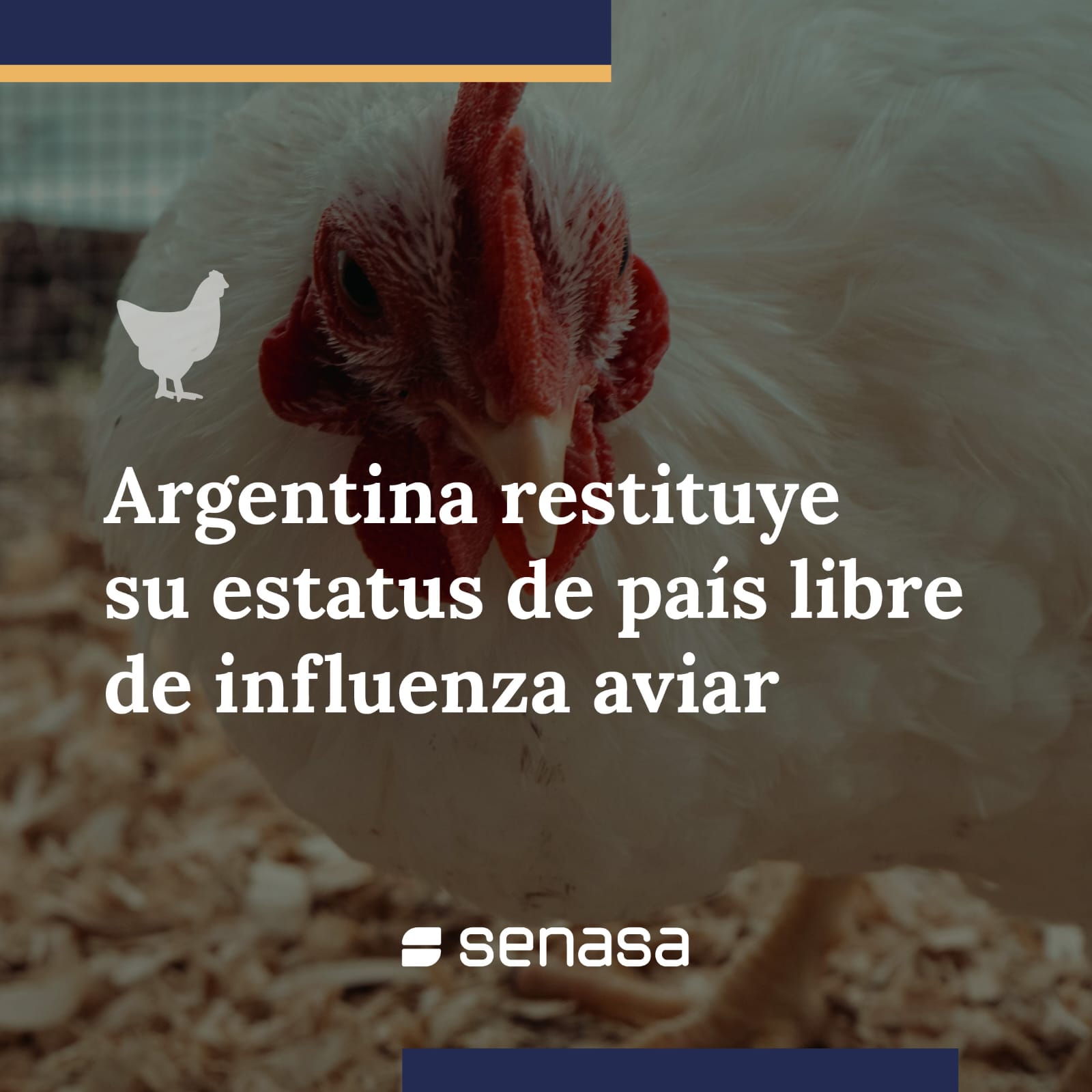 Argentina restituyó su estatus de país libre de influenza aviar
