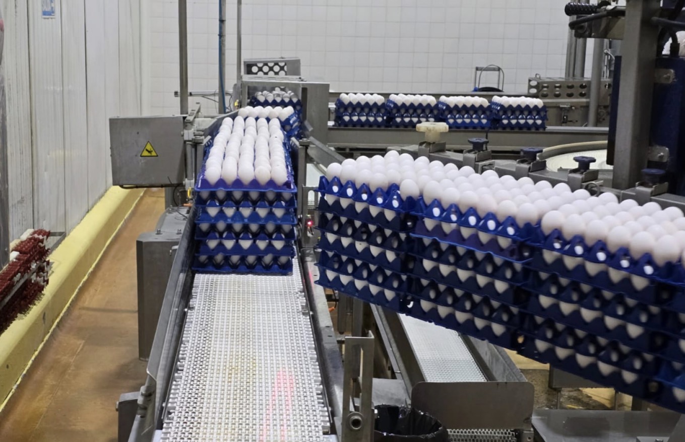 Ovoproductos entrerrianos ganan mercados externos 