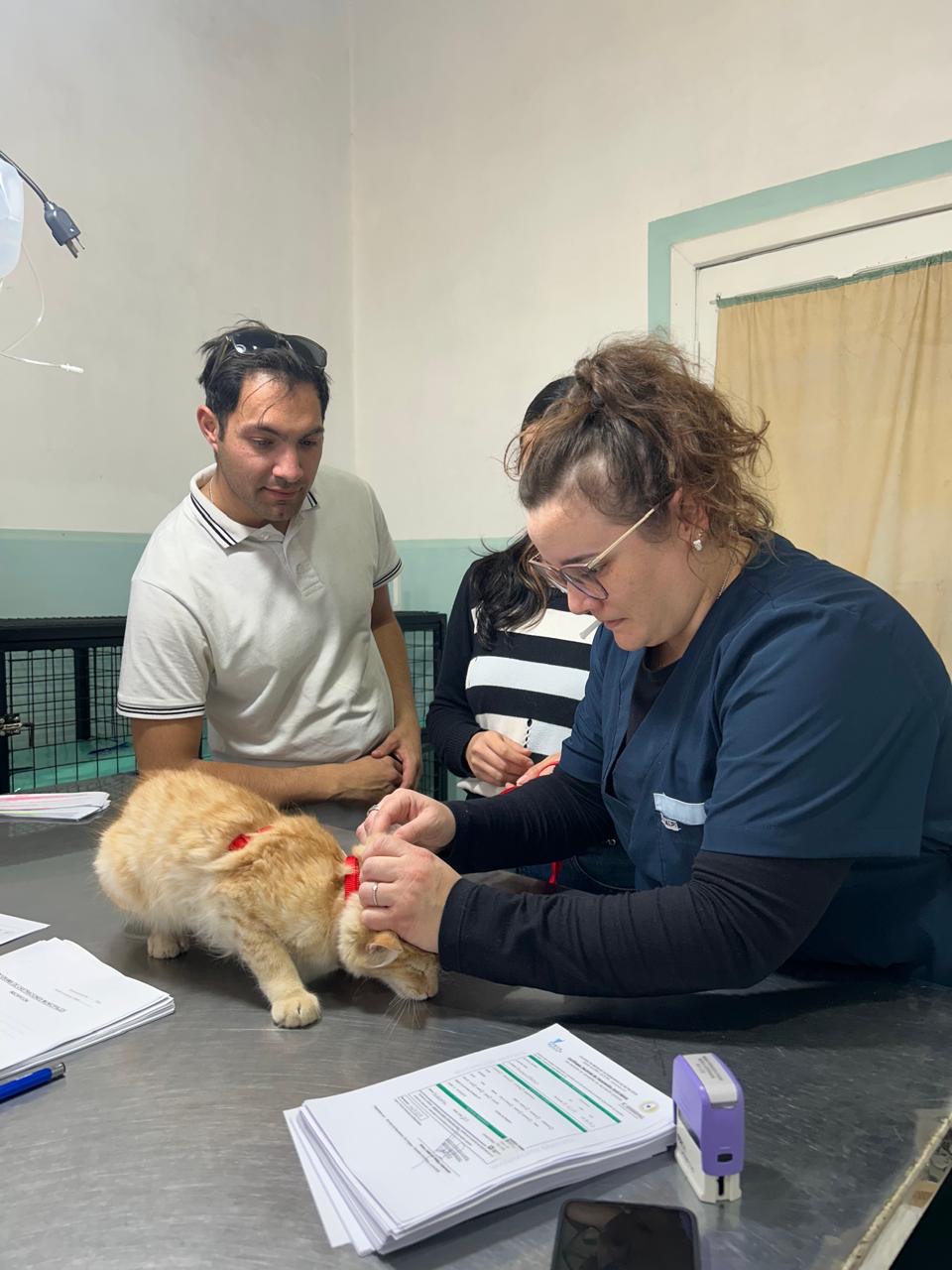     Nueva jornada de vacunación y esterilización