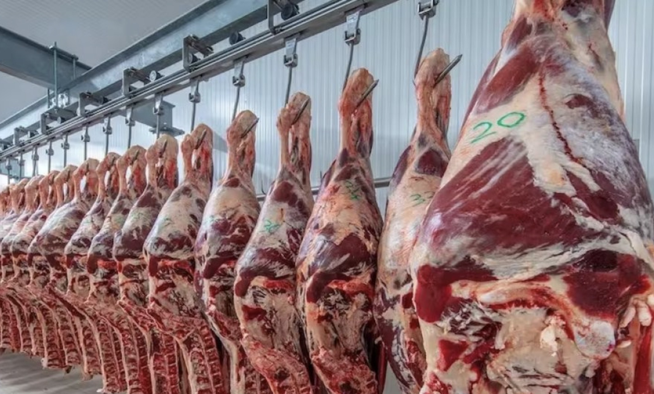 Las exportaciones de carne vacuna lograron la mayor facturación en 20 años