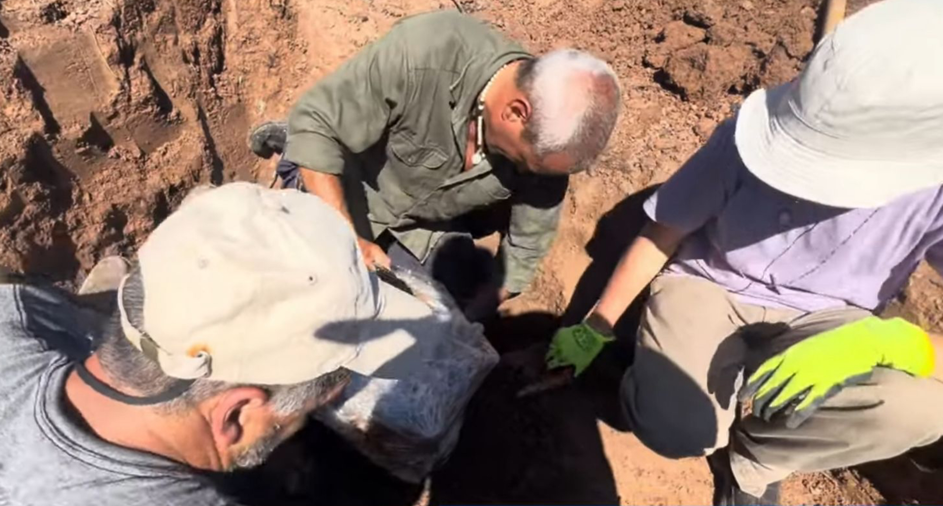 Rescatan restos fósiles de un gliptodonte en un operativo paleontológico