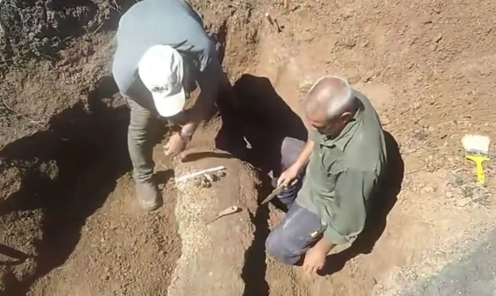 Retiran fósil de gliptodonte de campo en Libaros