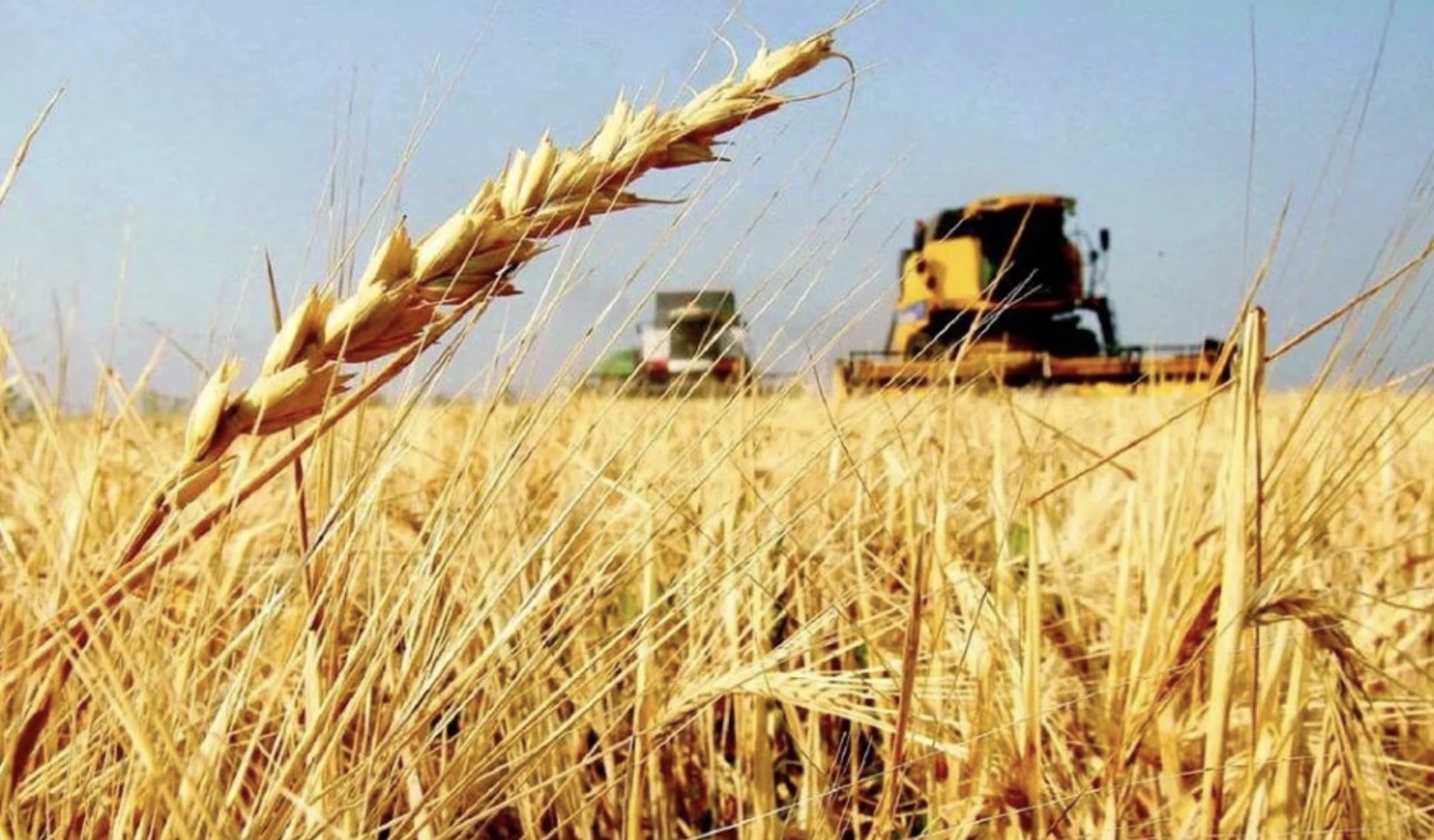 Argentina se encamina a una cosecha récord