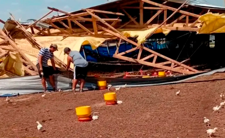 Temporal de viento causó graves daños en una granja avícola de Herrera