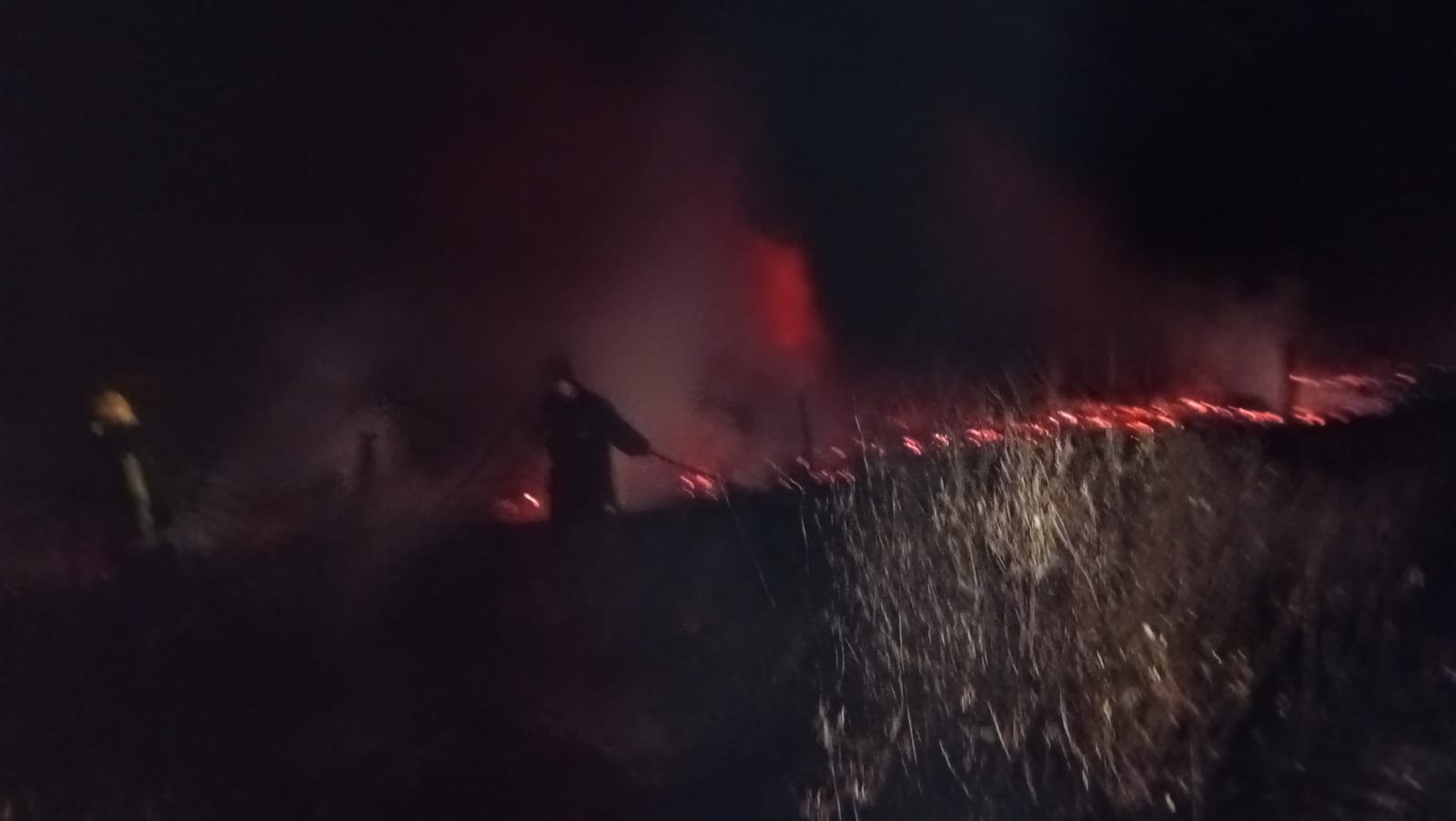 Bomberos sofocaron un incendio forestal en la zona rural de Colonia Nº 3