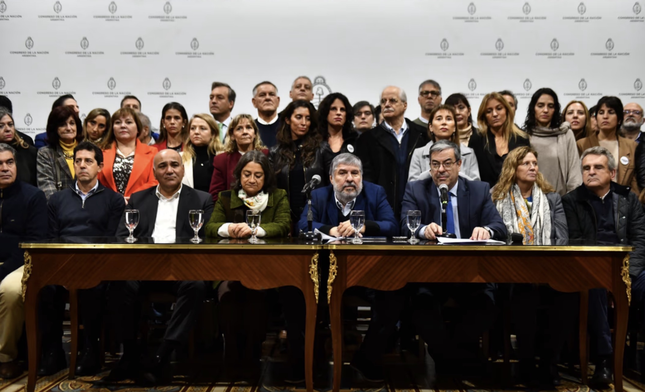  Legisladores del peronismo reclamaron la liberación de Cristina Kirchner 