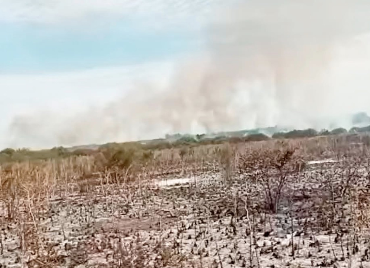 Controlaron voraz incendio rural en la zona de Herrera tras un amplio operativo