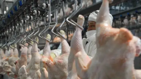 El Reino Unido habilitó las exportaciones de carne aviar argentina