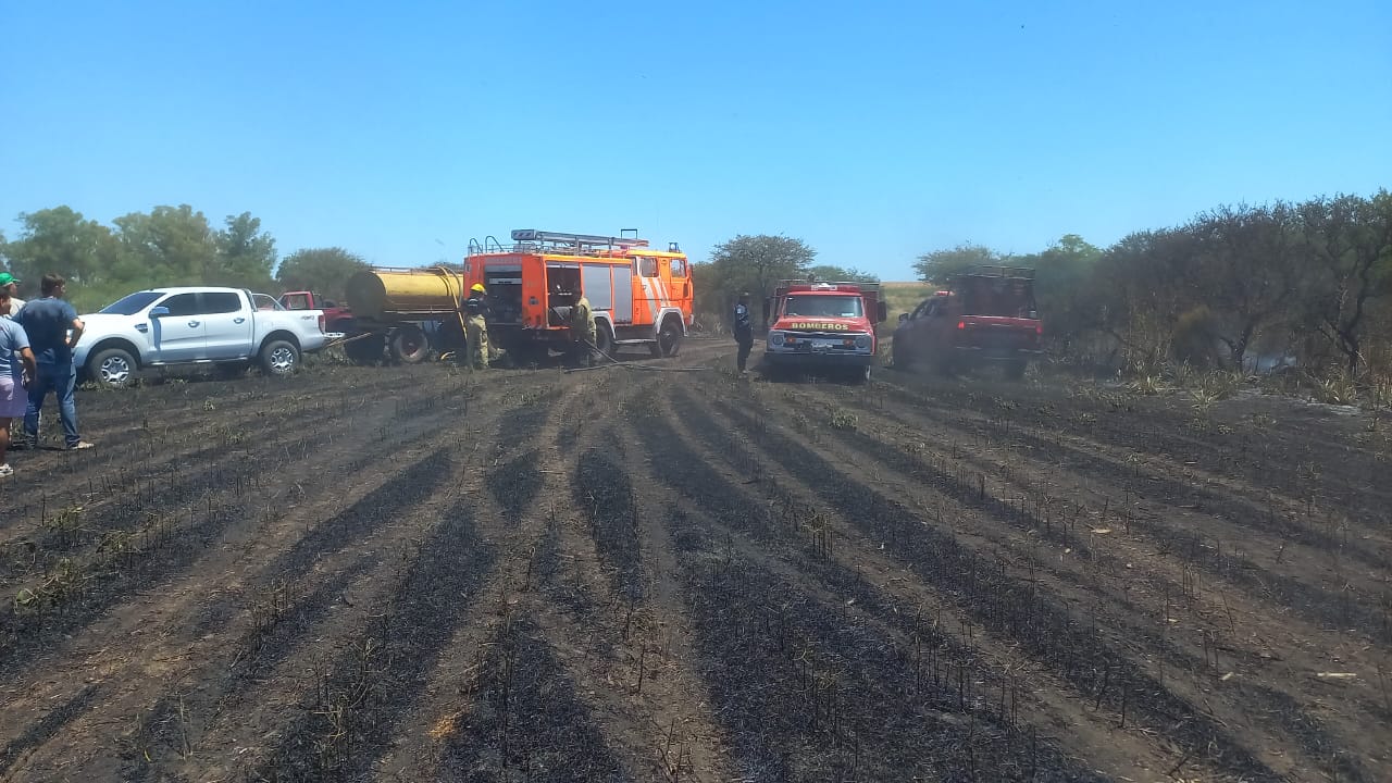 Un incendio consumió varias hectáreas de cultivos