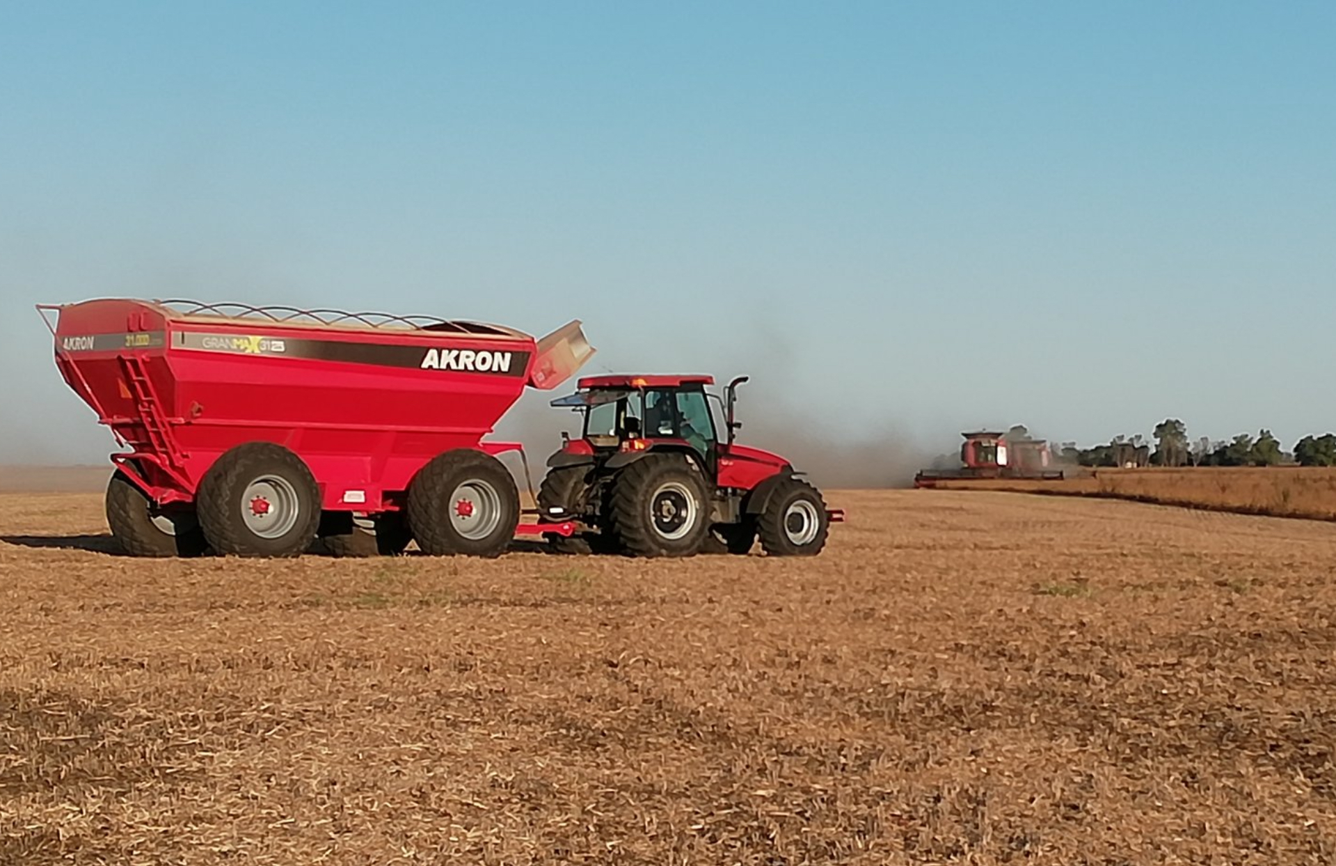 El agro liquidó más de USD 16.000 millones en el primer semestre de 2025