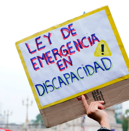 El Gobierno reglamentó la ley de discapacidad