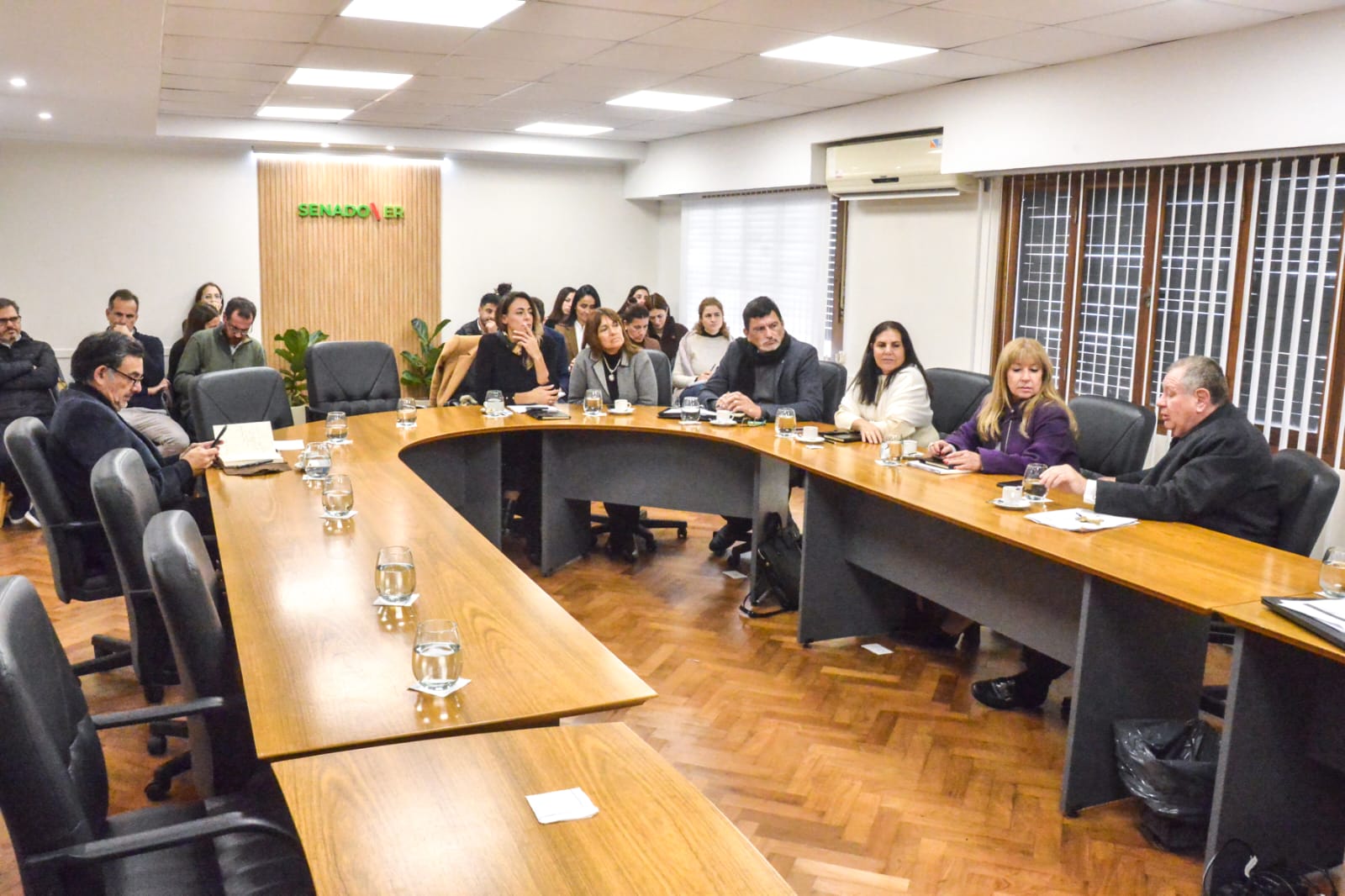 Se reunió la Bicameral de Derechos Humanos 