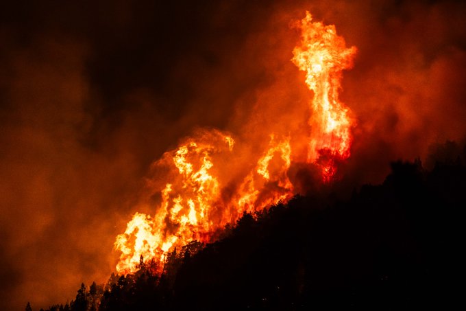 La UCR pidió tipificar el ecocidio