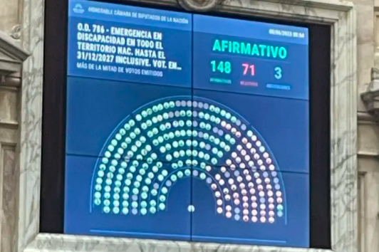  Diputados aprobó y giró al Senado la emergencia en discapacidad hasta 2027