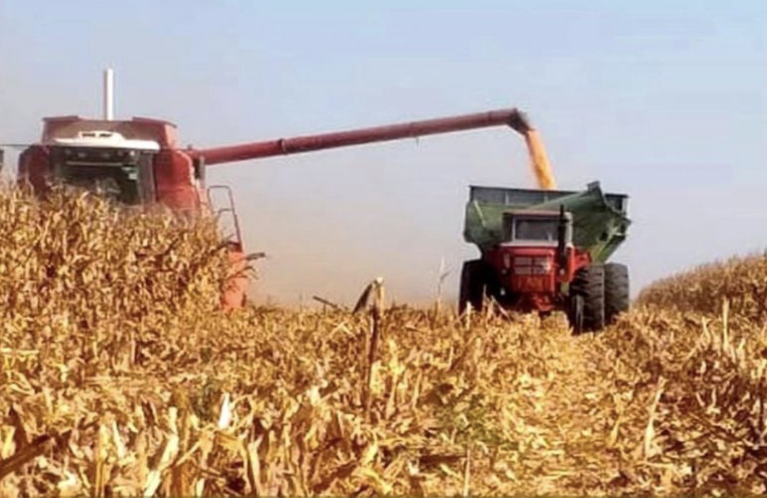 Las exportaciones agroindustriales crecieron 13% y marcaron un récord