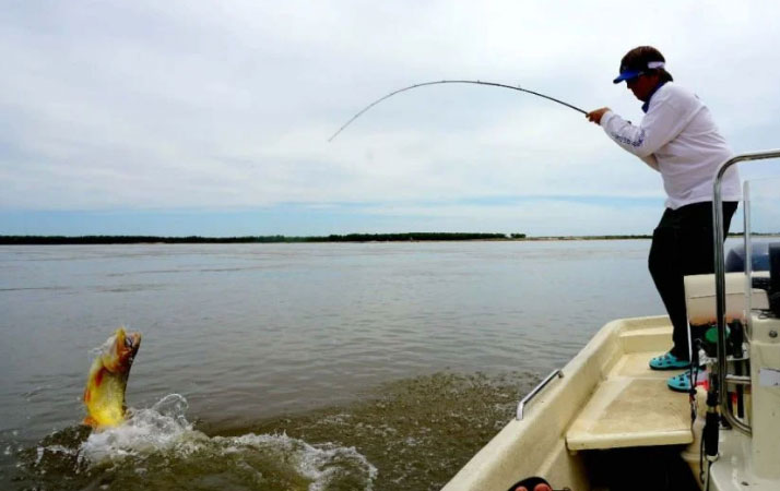 Prorrogan en Entre Ríos la vigencia de licencias de caza y pesca