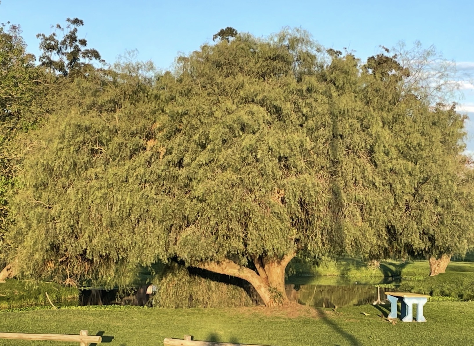 Un final de primavera marcado por temperaturas agobiantes y récord térmico