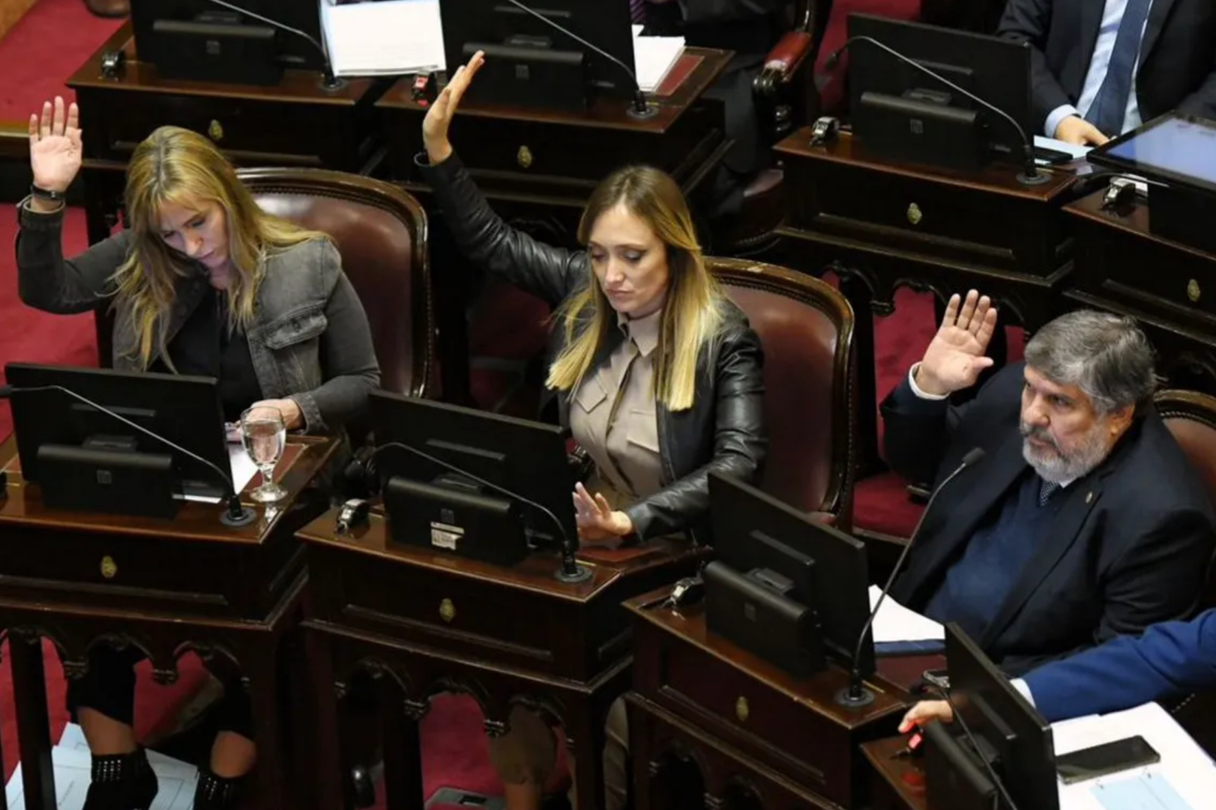 Senadores renuncian al aumento salarial, pero el bloque peronista no se suma