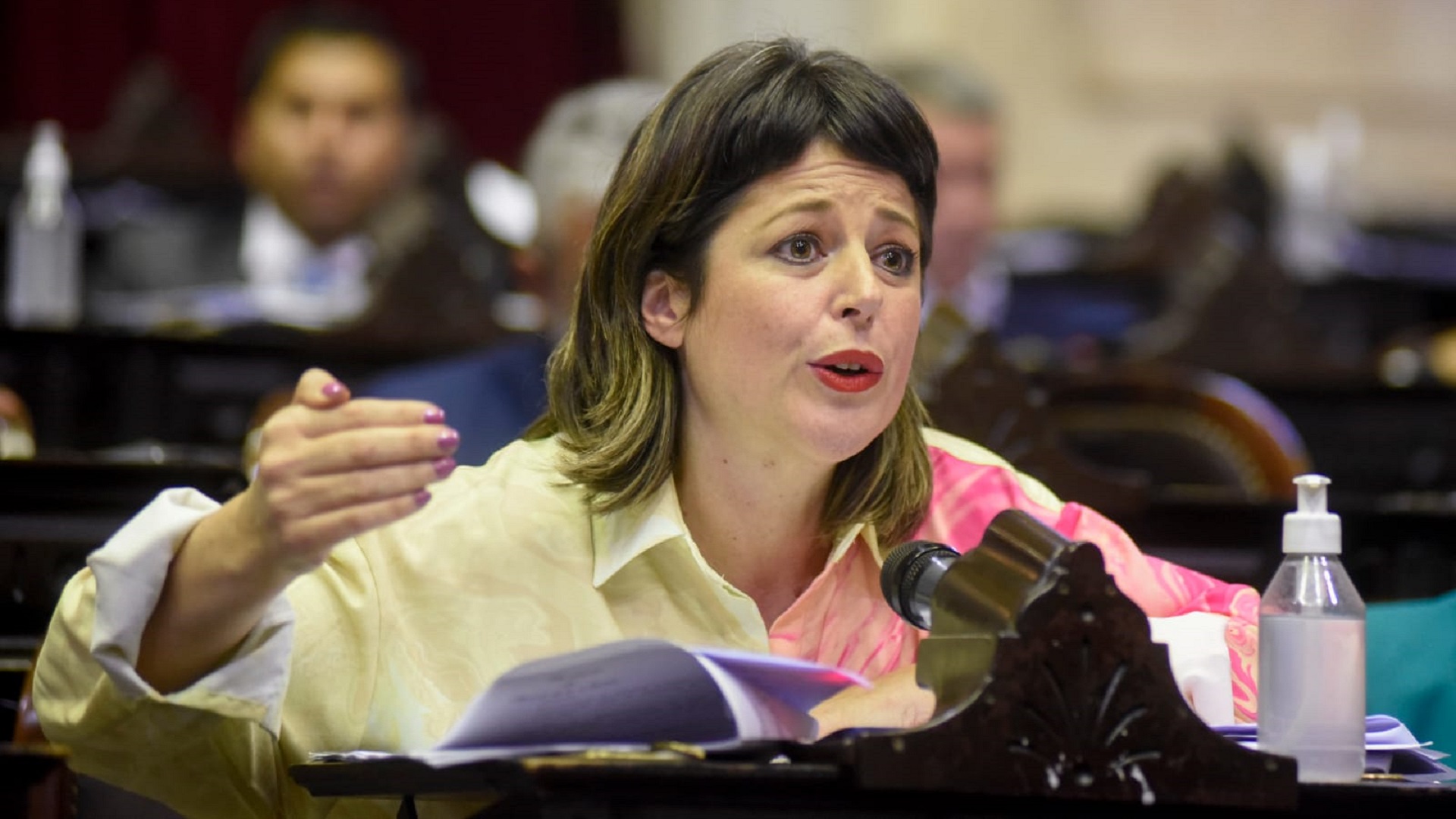Gaillard denunció el ajuste del Gobierno de Milei y pidió ponerle un freno