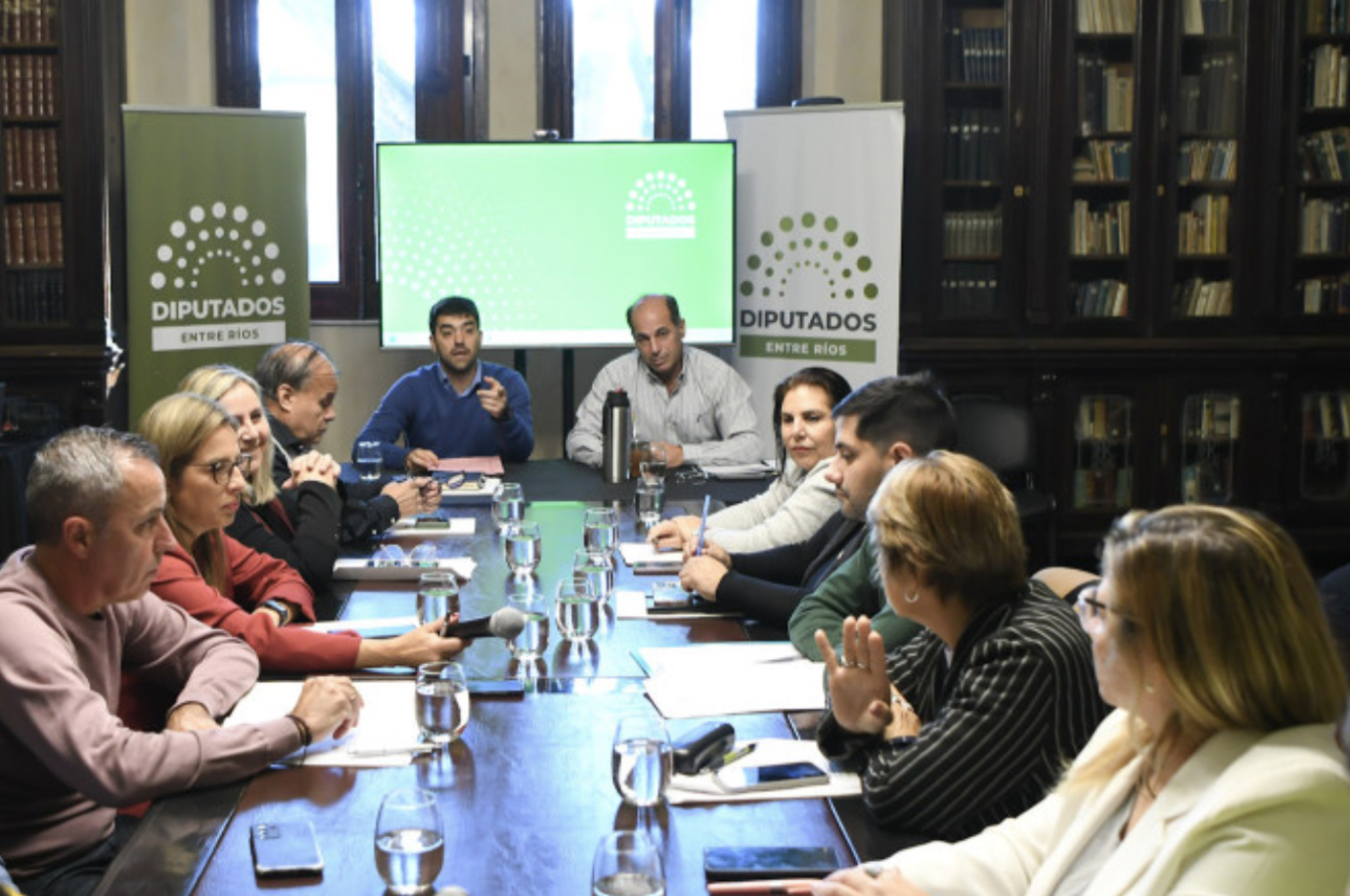 Diputados avanza en la ley de sostenibilidad de la deuda pública provincial