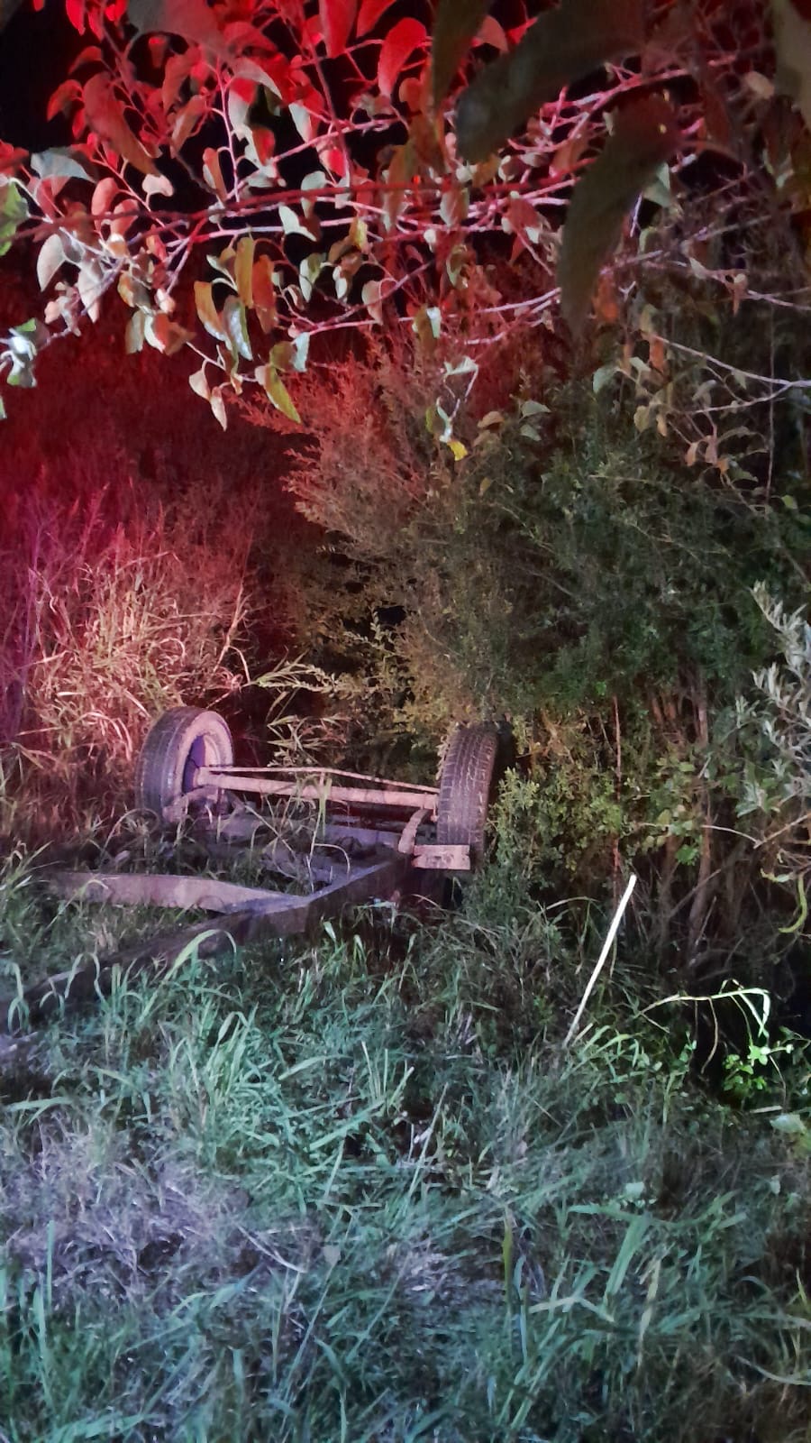 Milagro en Ruta 39