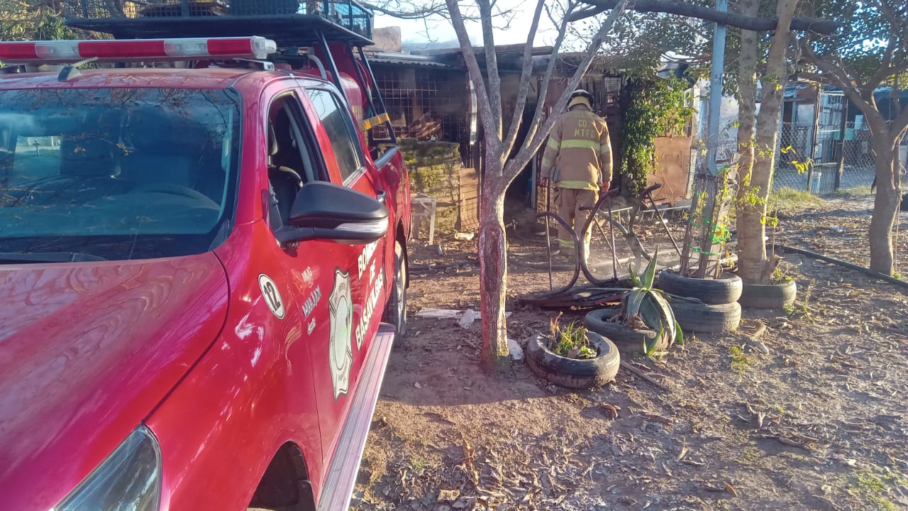 Incendio destruyó una vivienda en Pueblo Nuevo: murieron seis perros