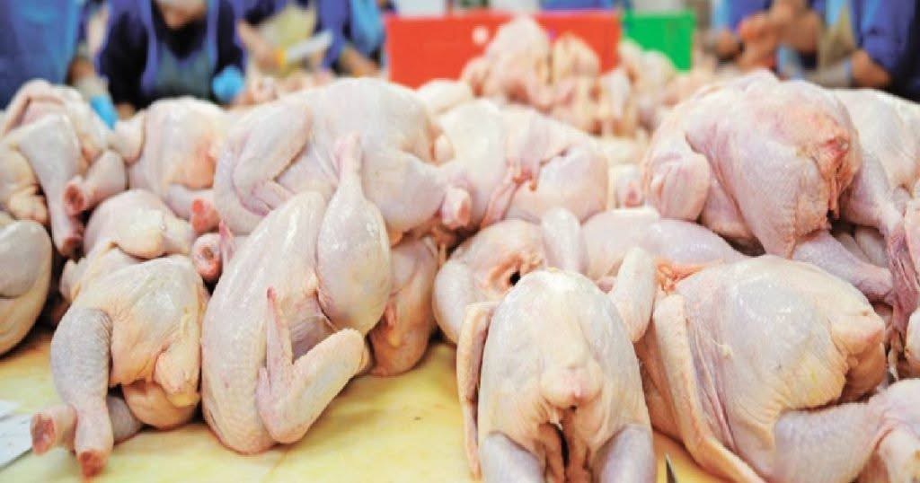Crecen las exportaciones y el consumo interno de carne aviar