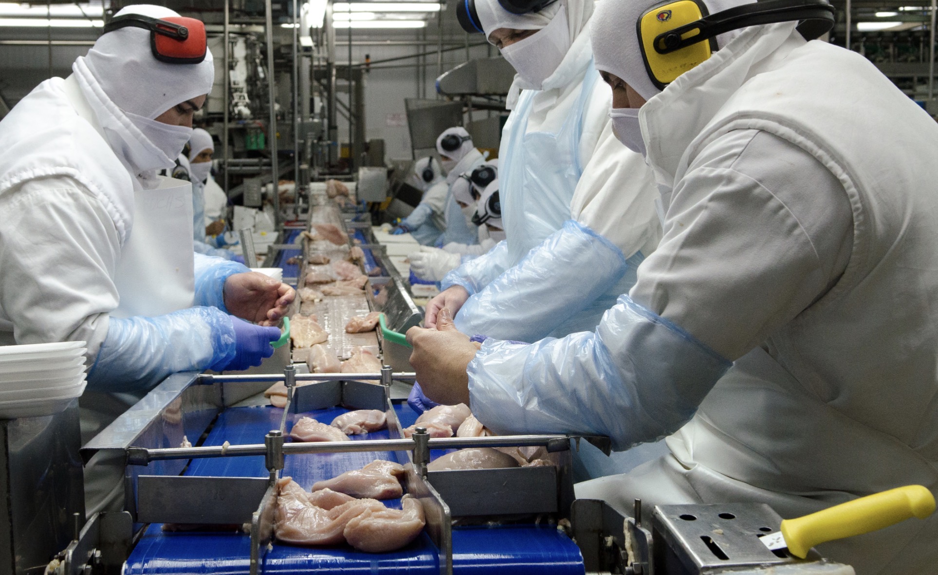 Las exportaciones de Entre Ríos crecieron 21% en el primer trimestre del año