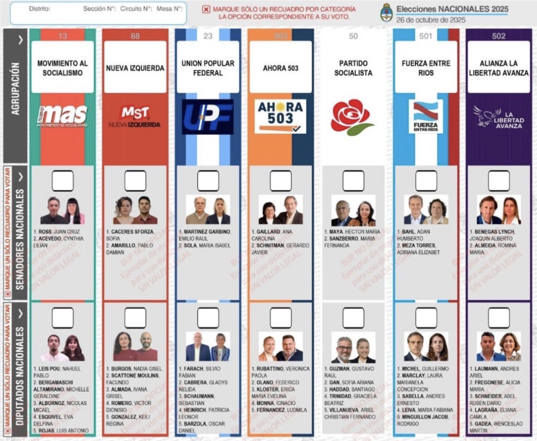 Multas de $77.000 por el error frecuente en elecciones