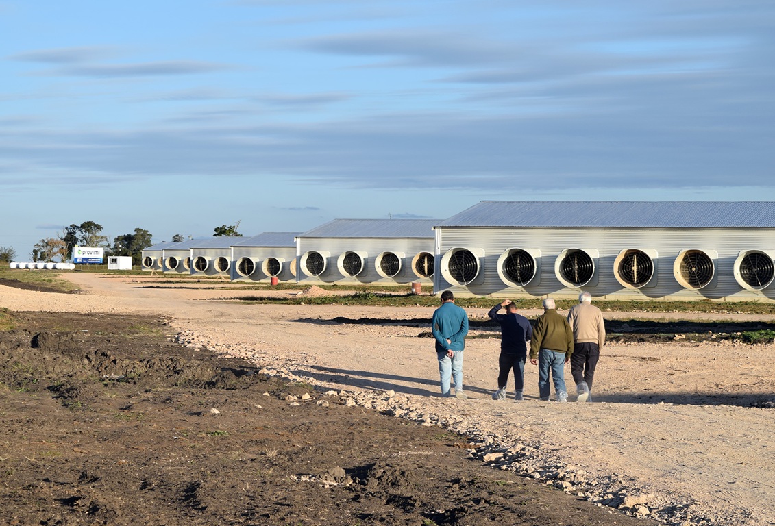 Villaguay suma una moderna granja avícola con capacidad para más de 500.000 aves