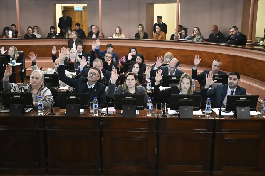 La Cámara de Diputados aprobó por ley la creación de la Mesa de Primera Infancia