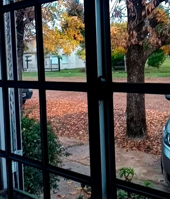 Comenzó el otoño!