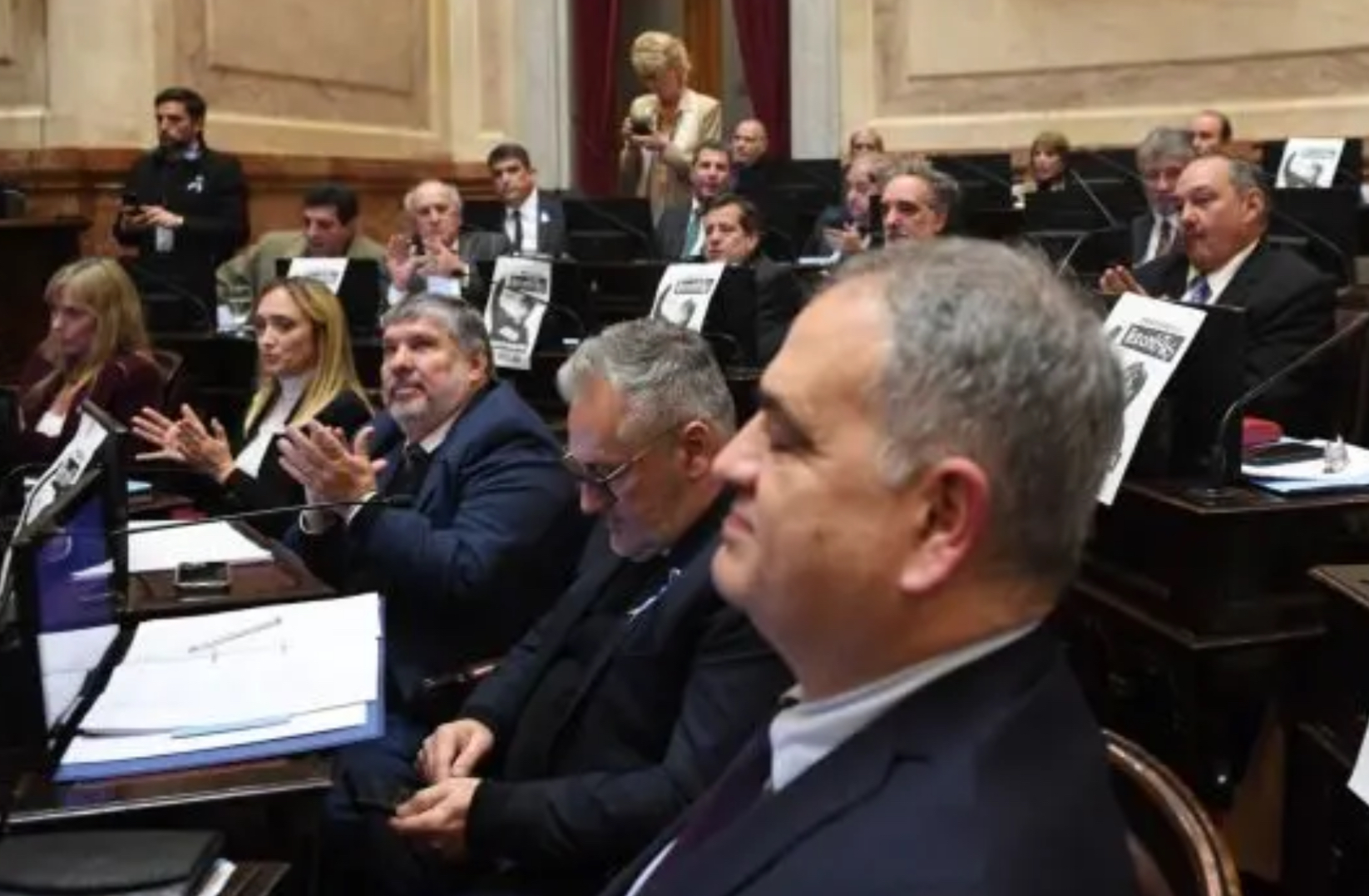 El Senado sancionó la emergencia en discapacidad hasta 2026