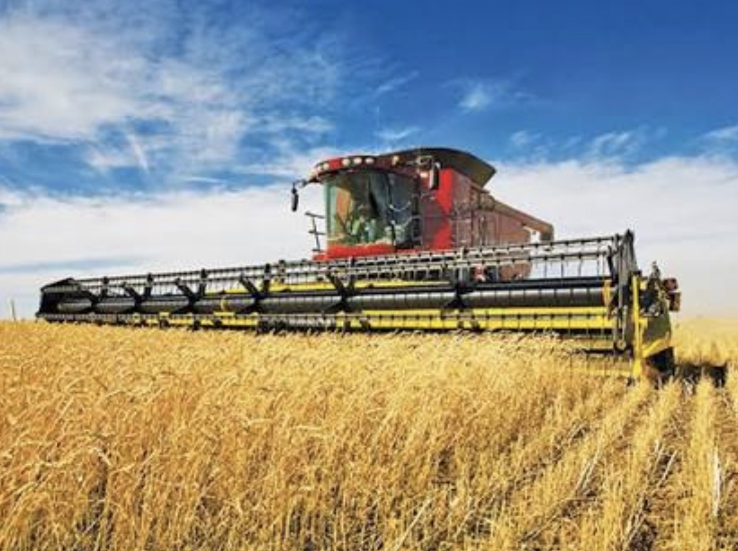 CONINAGRO reclamó la eliminación de retenciones al trigo