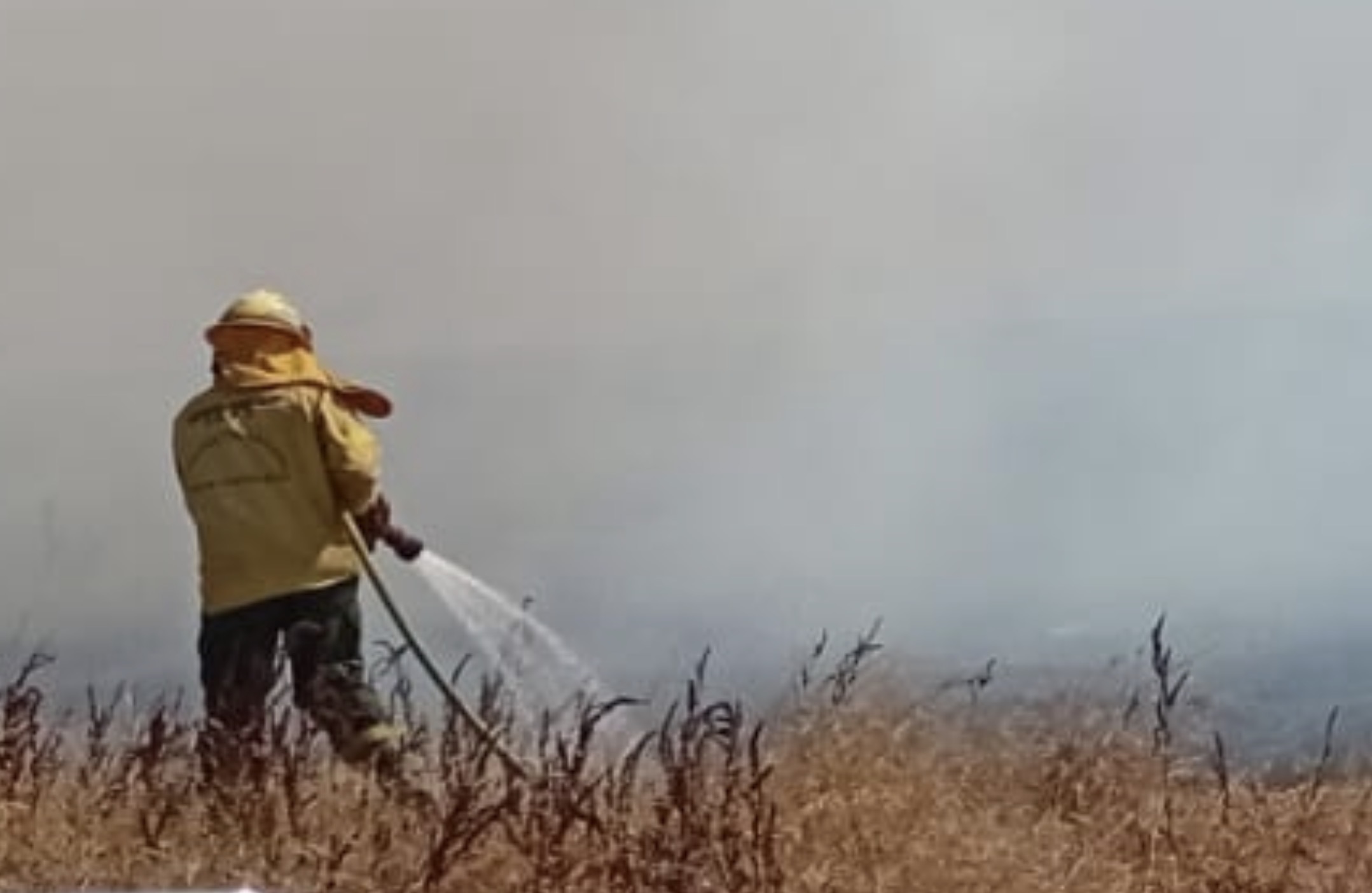 Gobierno reforzará el sistema federal de Bomberos Voluntarios