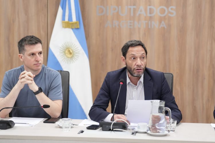 Diputados convocan a conferencia de prensa por la causa $LIBRA
