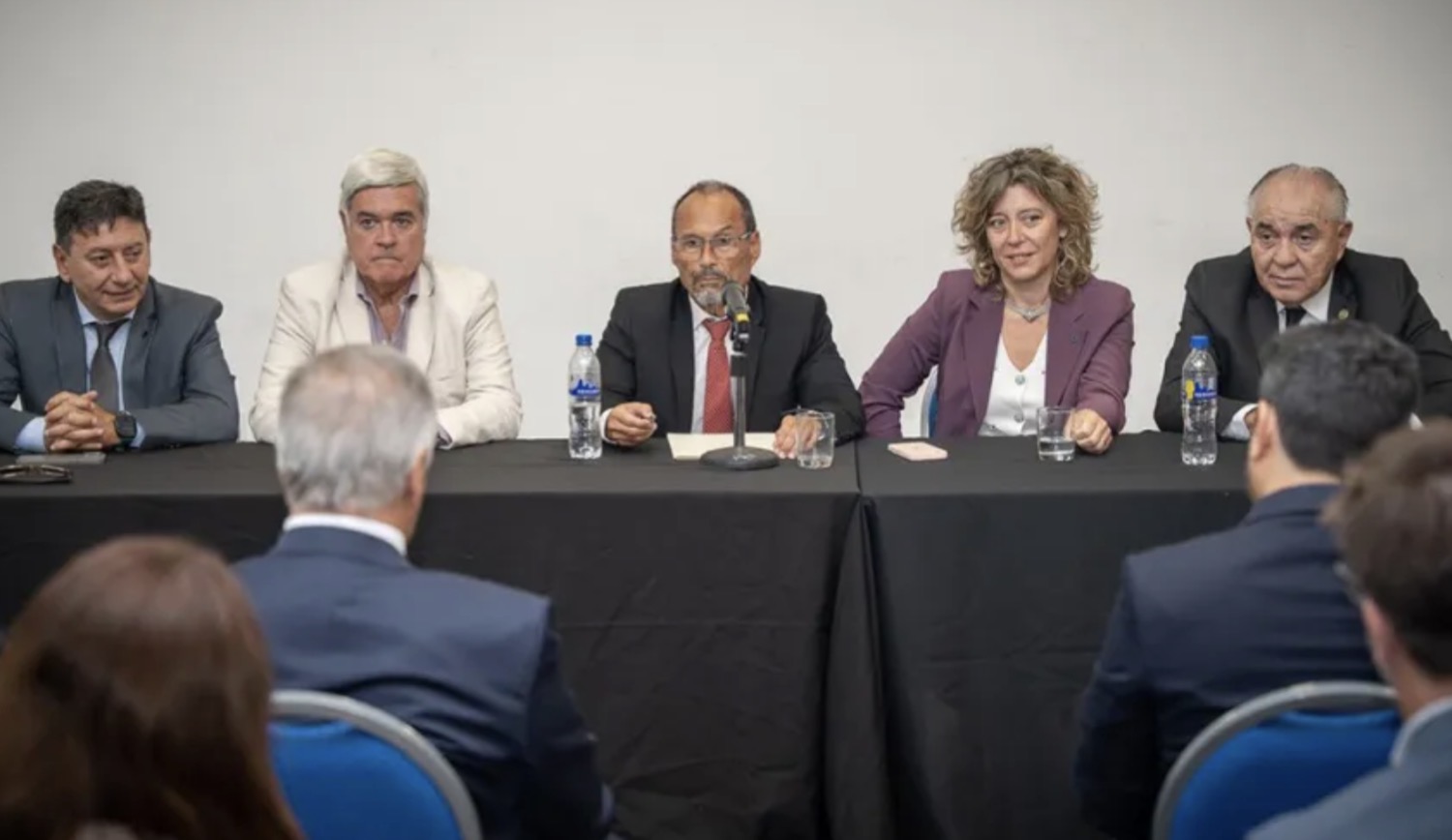 Justicia entrerriana anula el jury contra Cecilia Goyeneche