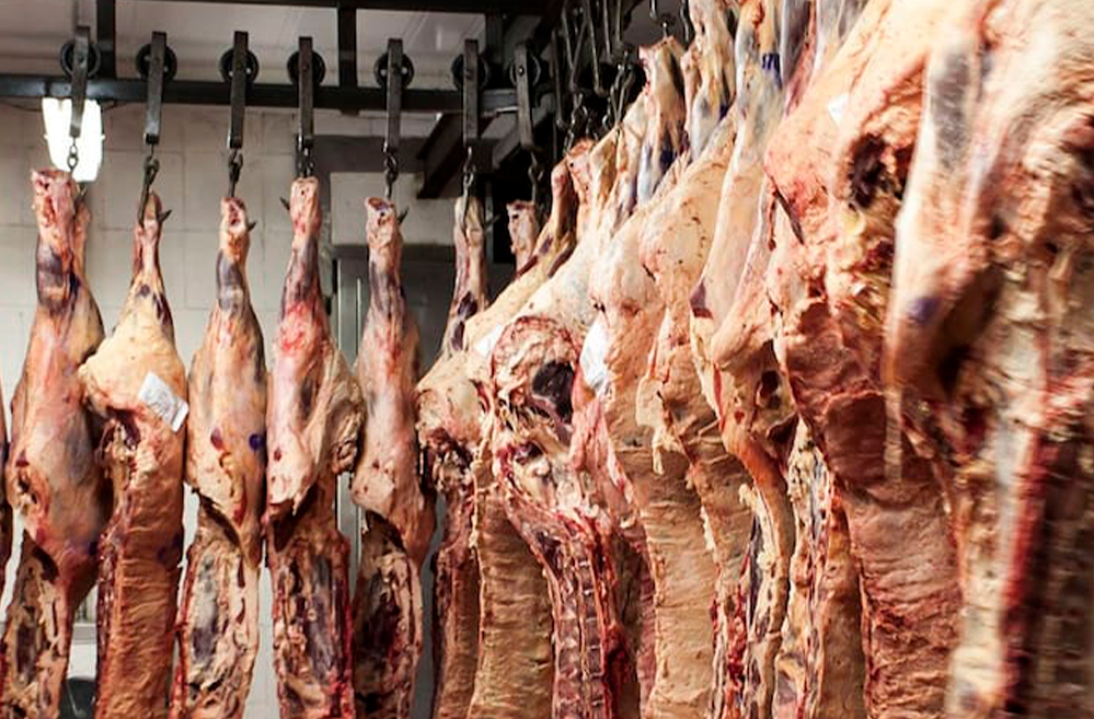 El esquema de retenciones cero para la carne continuará hasta el 31 de octubre