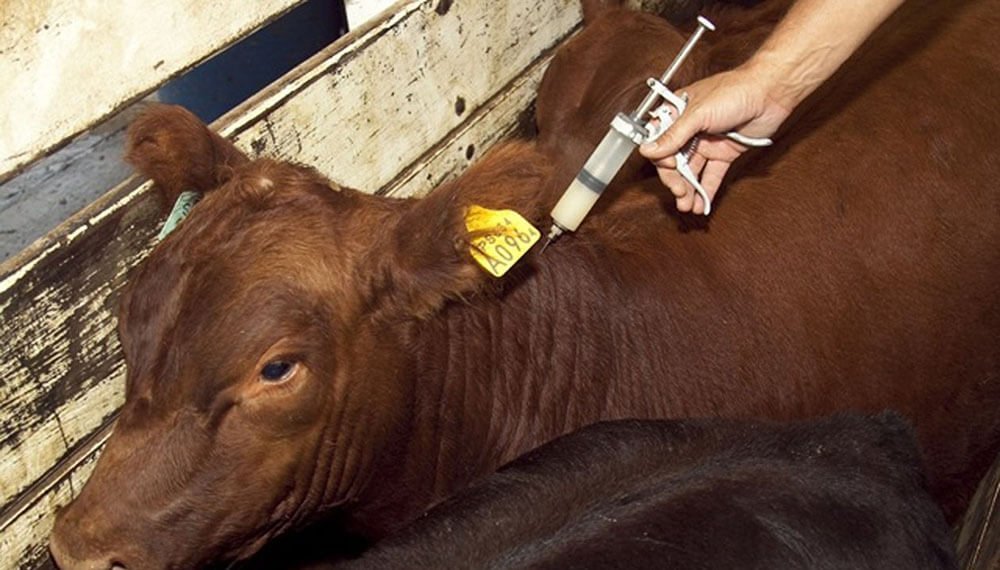 FAA cuestionó la desarticulación del sistema de vacunación contra la aftosa