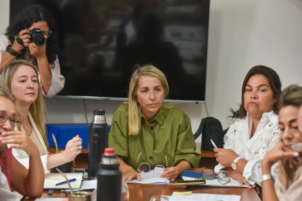 El justicialismo no apoyó la comisión investigadora que propone Frigerio