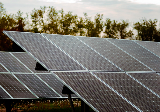 ENERSA impulsa la energía limpia con sus primeros parques solares en Entre Ríos
